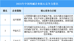 2025年中國純堿企業(yè)核心競爭力排名