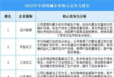 2025年中国纯碱企业核心竞争力排名