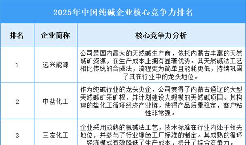 2025年中国纯碱企业核心竞争力排名