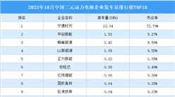 2025年10月中国三元动力电池企业装车量排行榜TOP10（附榜单）