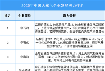 2025年中国天然气企业发展潜力排名