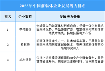 2025年中国前驱体企业发展潜力排名