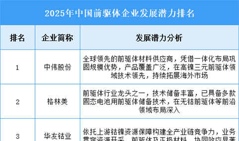 2025年中国前驱体企业发展潜力排名