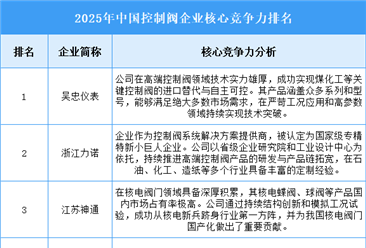 2025年中国控制阀企业核心竞争力排名
