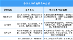 2025年中國硫酸鈉重點(diǎn)企業(yè)業(yè)務(wù)布局分析（圖）