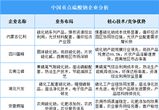 2025年中国硫酸钠重点企业业务布局分析（图）