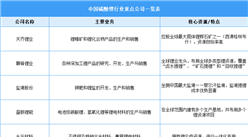 2025年中国碳酸锂行业重点公司一览表（图）