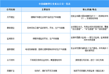 2025年中国碳酸锂行业重点公司一览表（图）