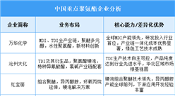 2025年中國(guó)聚氨酯重點(diǎn)企業(yè)業(yè)務(wù)布局分析（圖）