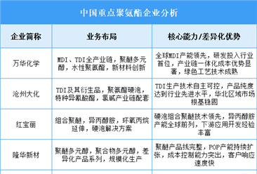 2025年中國(guó)聚氨酯重點(diǎn)企業(yè)業(yè)務(wù)布局分析（圖）