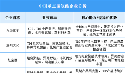 2025年中国聚氨酯重点企业业务布局分析（图）