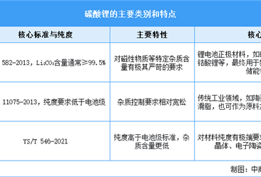 2025年中国碳酸锂行业市场前景预测研究报告（简版）
