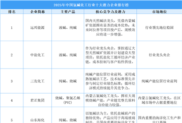 2025年中国氯碱化工行业十大潜力企业排行榜（附榜单）