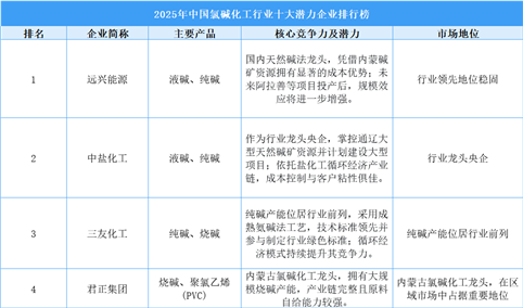2025年中国氯碱化工行业十大潜力企业排行榜（附榜单）