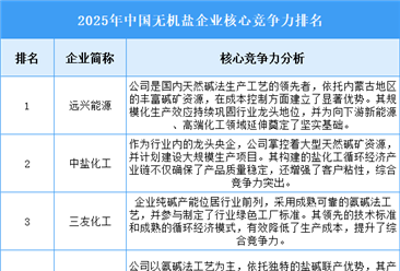 2025年中国无机盐企业核心竞争力排名