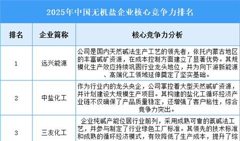2025年中国无机盐企业核心竞争力排名