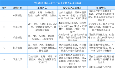 2025年中国石油化工行业十大潜力企业排行榜（附榜单）