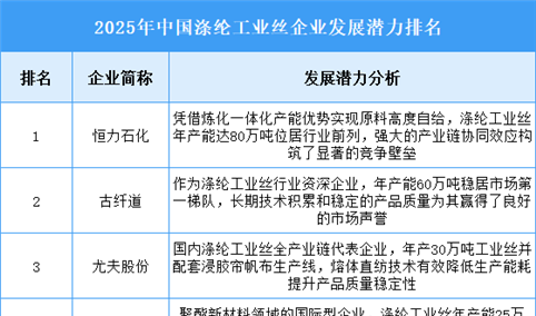 2025年中国涤纶工业丝企业发展潜力排名