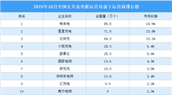 2025年10月中国公共充电桩运营量前十运营商排行榜（附榜单）