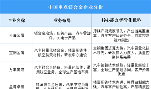 2025年中国镁合金重点企业业务布局分析（图）