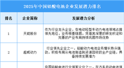 2025年中国铅酸电池企业发展潜力排名