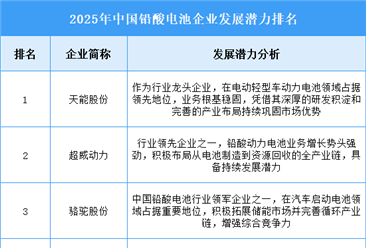 2025年中国铅酸电池企业发展潜力排名