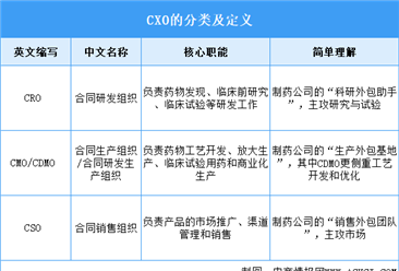 2026年中国CXO（医药外包）行业市场前景预测研究报告（简版）