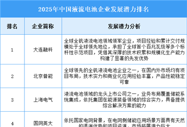 2025年中国液流电池企业发展潜力排名