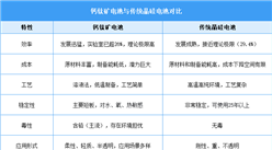 2026年中國(guó)鈣鈦礦電池行業(yè)市場(chǎng)前景預(yù)測(cè)研究報(bào)告（簡(jiǎn)版）