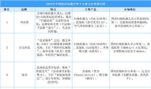 2025年中国清洁电器行业十大潜力企业排行榜（附榜单）