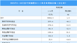 2025年1-10月全國(guó)規(guī)上工業(yè)企業(yè)利潤(rùn)總額情況：制造業(yè)利潤(rùn)總額同比增長(zhǎng)7.7%（圖）
