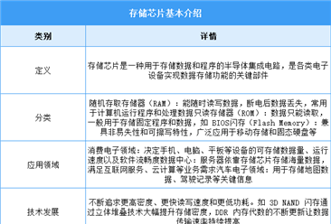 2026年中国存储芯片行业市场前景预测研究报告（简版）