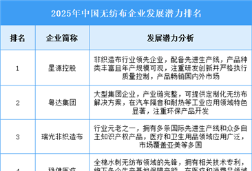 2025年中国无纺布企业发展潜力排名