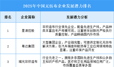 2025年中国无纺布企业发展潜力排名