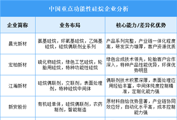 2025年中國功能性硅烷重點企業(yè)業(yè)務(wù)布局分析（圖）