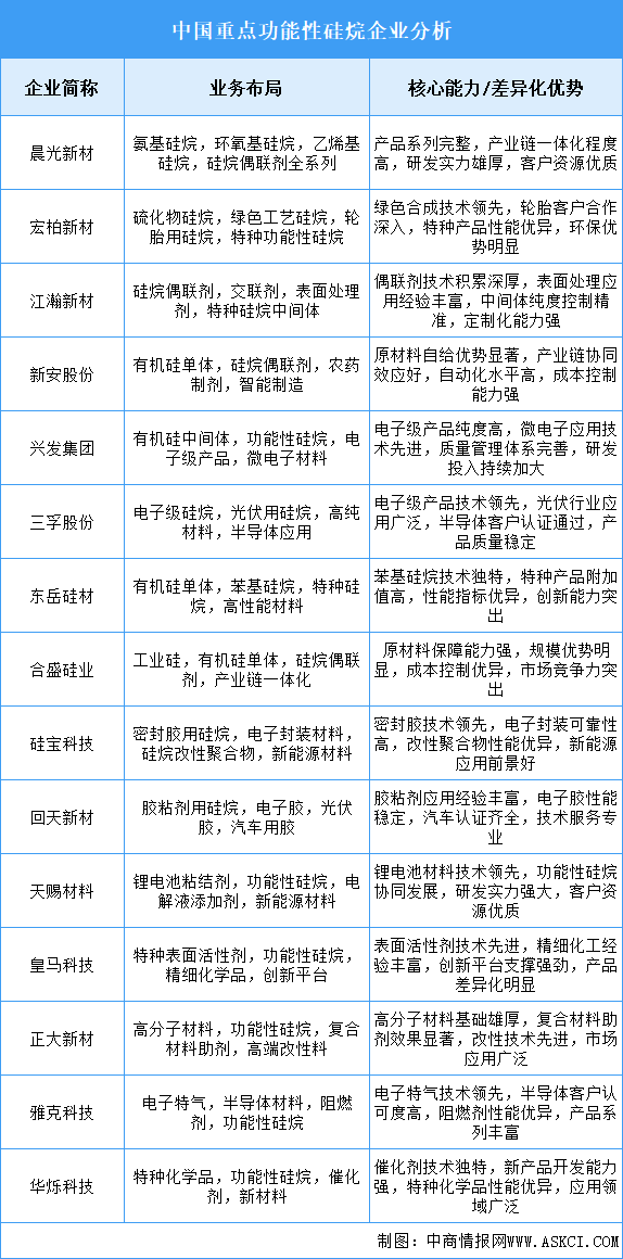 2025年中國(guó)功能性硅烷重點(diǎn)企業(yè)業(yè)務(wù)布局分析（圖）
