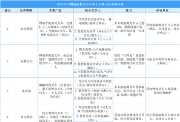 2025年中国新能源叉车行业十大潜力企业排行榜（附榜单）