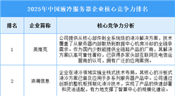 2025年中国液冷服务器企业核心竞争力排名