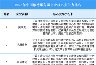 2025年中国液冷服务器企业核心竞争力排名