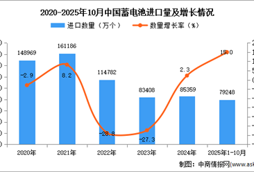 2025年1-10月中国蓄电池进口数据统计分析：进口量79248万个