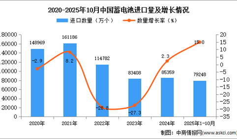 2025年1-10月中国蓄电池进口数据统计分析：进口量79248万个