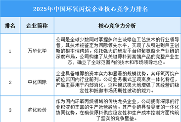 2025年中国环氧丙烷企业核心竞争力排名