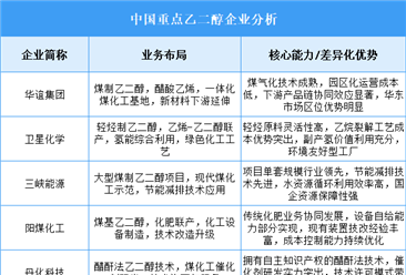 2025年中国乙二醇重点企业业务布局分析（图）