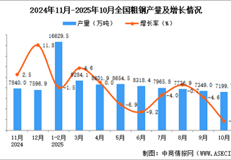 2025年10月全国粗钢产量数据统计分析