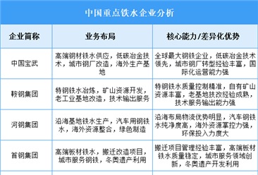 2025年中国铁水重点企业业务布局分析（图）