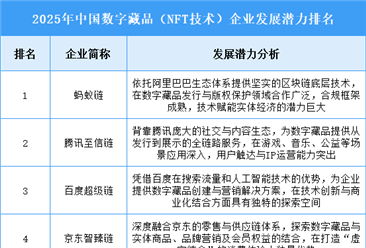 2025年中国数字藏品（NFT技术）企业发展潜力排名
