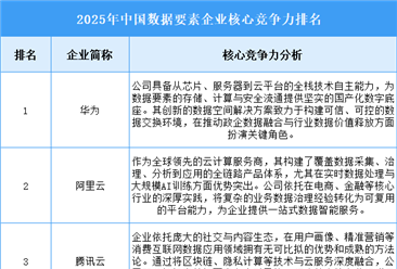 2025年中国数据要素企业核心竞争力排名
