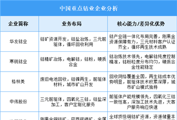 2025年中国钴业重点企业业务布局分析（图）