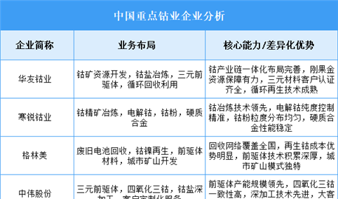 2025年中国钴业重点企业业务布局分析（图）