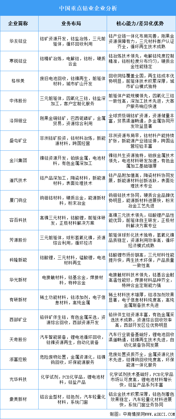 2025年中国钴业重点企业业务布局分析（图）